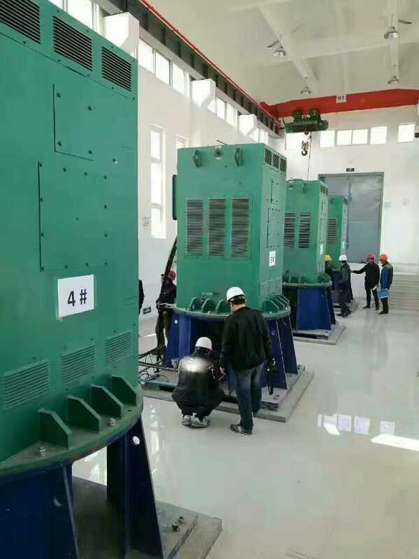 红毛镇某污水处理厂使用我厂的立式高压电机安装现场